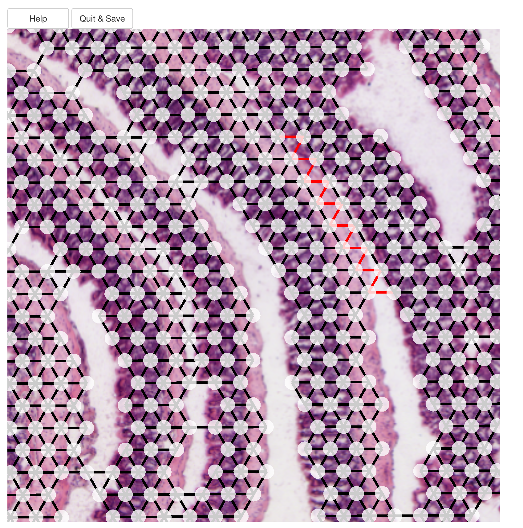 Sliced edges are colored in red