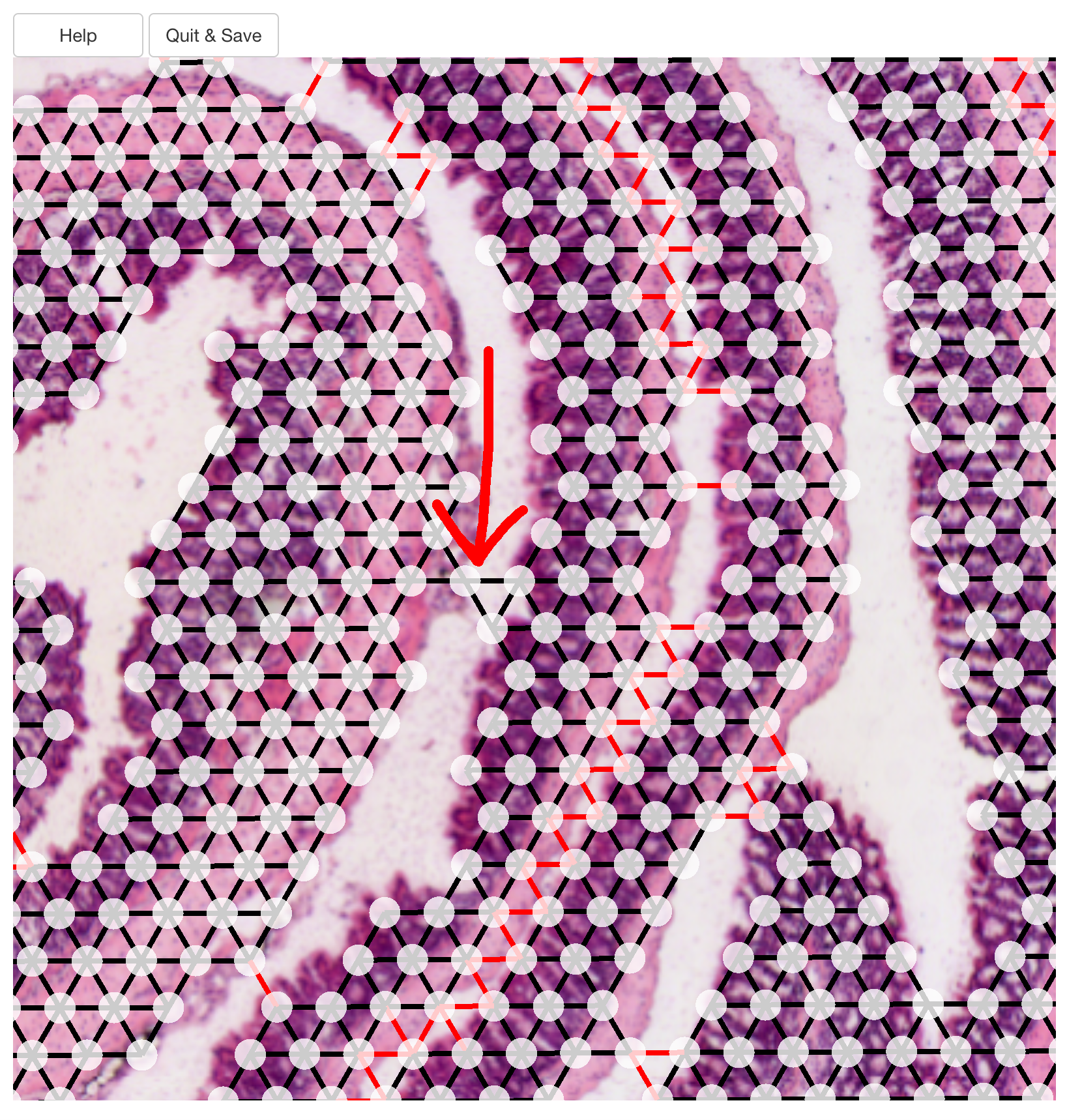 The arrow points at two edges (colored in black) which still connects two separate layers