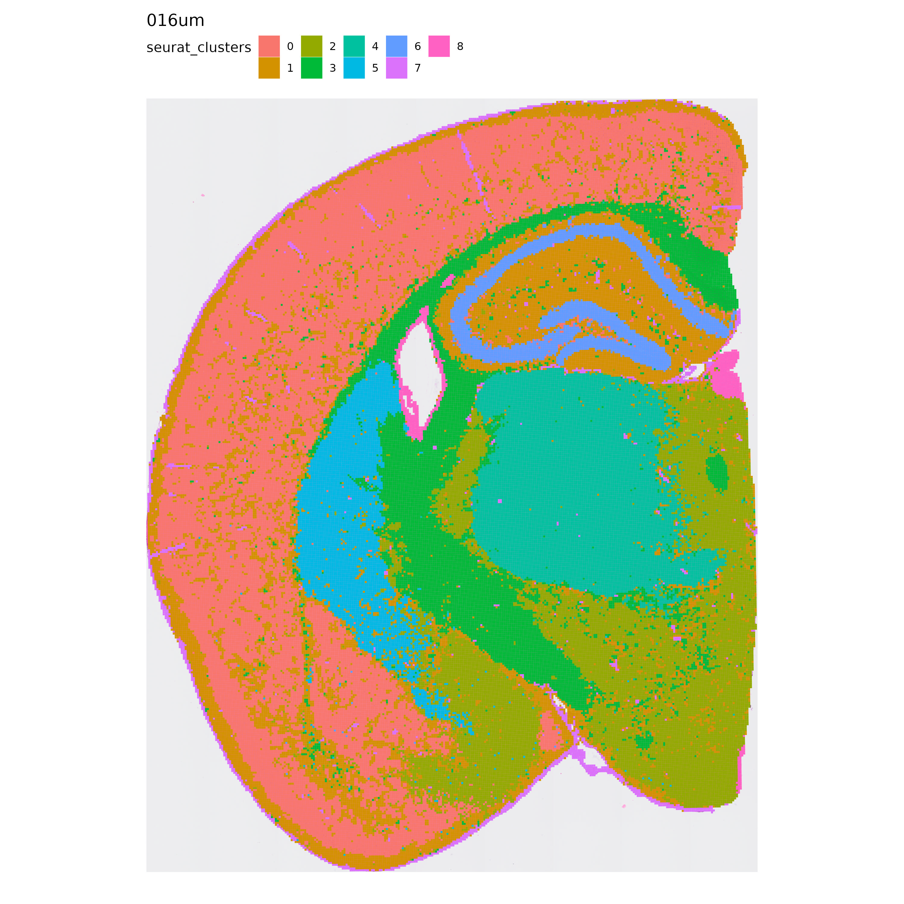 1. Seurat clusters identified at 16ums.